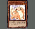 コドモドラゴン