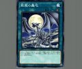 銀龍の轟咆
