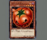 匿名配送　キラートマト　エラーカード 遊戯王 キラー・トマト スタジオダイス エラーカード 枠ズレ 2枚