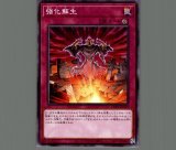 閃光を吸い込むマジックミラー/ノーマル【罠】《DS13-JPD39》 せんこう