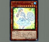六花絢爛/スーパー【魔法】《DBSS-JP023》 - メルカード遊戯王