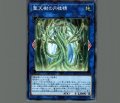 聖天樹の月桂精