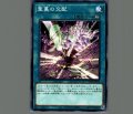 聖蔓の交配