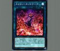 ヌメロンネットワーク