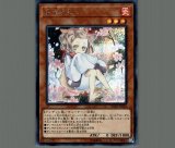Amazon.co.jp: 遊戯王カード 灰流うらら(スーパーレア) QUARTER
