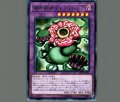 捕食植物キメラフレシア