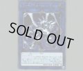 ファイアウォールドラゴン