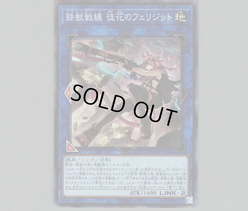 画像1: 〔特価品〕鉄獣戦線徒花のフェリジット/スーパー【リンク】《PHRA-JP046》 (1)