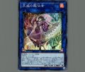 天威の龍仙女