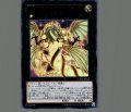 No100ヌメロンドラゴン