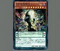 DD魔導賢者トーマス