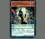 滅びの黒魔術士プリズマティックシークレットレア 滅びの黒魔術師【プリズマティックシークレット】{TTP1-JP001