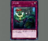 強欲で金満な壺/スーパー【魔法】《SAST-JP067》 - メルカード遊戯王