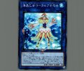 海晶乙女コーラルアネモネ