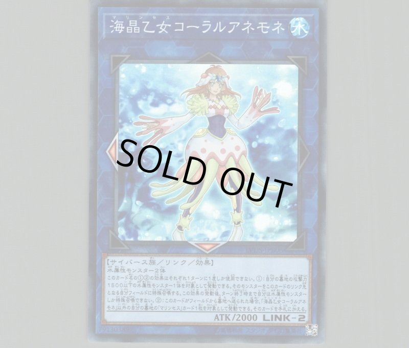 画像1: 〔特価品〕海晶乙女コーラルアネモネ/スーパー【リンク】《LVDS-JPB06》 (1)
