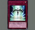 スターライトロード