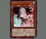 儚無みずき/プリズマティックシークレット【モンスター】《PAC1