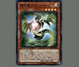 輝光竜セイファート 20thシークレット アジア ☆アジア☆輝光竜セイファート/20thシークレット【モンスター】《CHIM