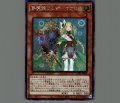 夢魔鏡の乙女イケロス