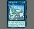 白薔薇の回廊