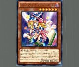 PSA10鑑定済】トゥーンブラックマジシャンガール/シークレット