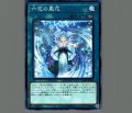 六花の風花
