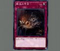 転生の予言