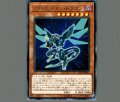 ノクトビジョンドラゴン