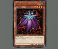 ゾルガ
