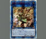 AN3遊戯王★崔嵬の地霊使いアウス 20thシークレット Amazon.co.jp: 遊戯王カード 崔嵬の地霊使い アウス(20th