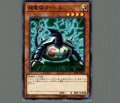 超電磁タートル
