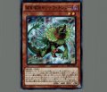 捕食植物サンデウキンジー