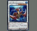 瑚之龍