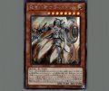 教導の騎士フルルドリス