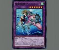 聖霊獣騎ペトルフィン