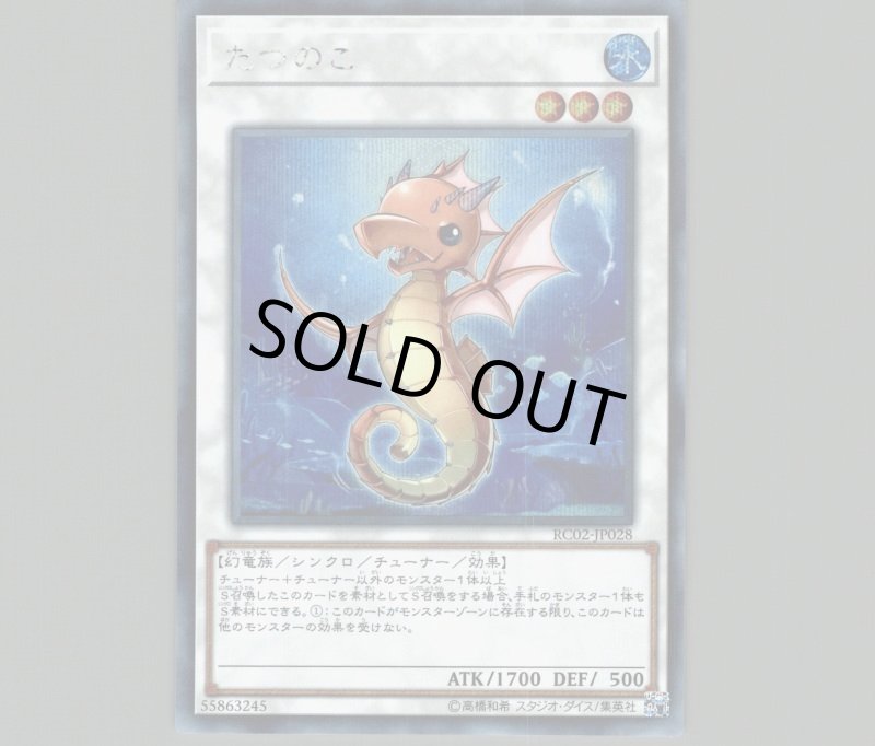 画像1: たつのこ/シークレット【シンクロ】《RC02-JP028》 (1)