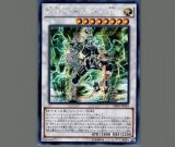 ☆アジア☆オッドアイズボルテックスドラゴン/シークレット