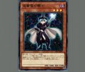 夜薔薇の騎士
