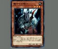 魔サイの戦士