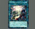 白き宿命のエルドリクシル