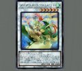 ダイガスタ・ラプラムピリカ