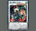 翼の魔妖-天狗