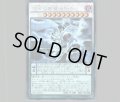 涅槃の超魔導剣士
