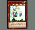 光の王マルデル