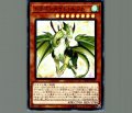 ドラゴンメイド・ルフト