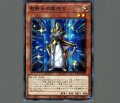聖騎士の槍持ち