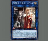 聖騎士の追想イゾルデ/プリズマティックシークレット【リンク