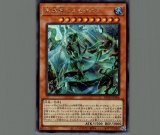 特価品〕氷水帝コスモクロア/ウルトラ【モンスター】《BACH