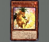 Amazon.co.jp: 英語EU版蛇眼の炎龍 スネークアイズ
