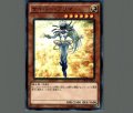 サイバープリマ